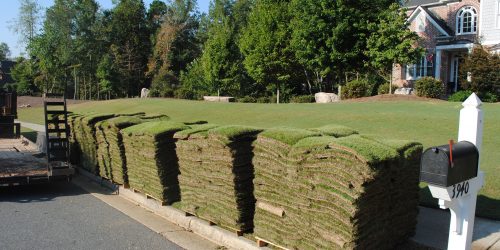 Sod Installation, New Lawn Installation, Sod Installation Contractor, Grass Installation, Free Estimate